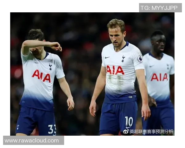 卡迪夫城与托特纳姆热刺对决分析：战术布局与球员表现的深度解析